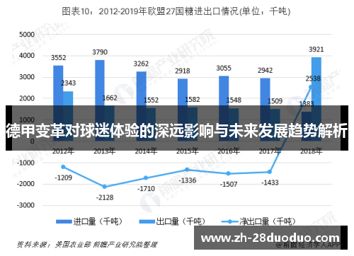 德甲变革对球迷体验的深远影响与未来发展趋势解析
