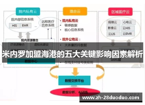 米内罗加盟海港的五大关键影响因素解析