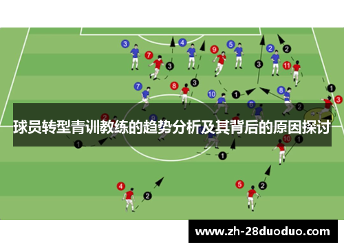 球员转型青训教练的趋势分析及其背后的原因探讨