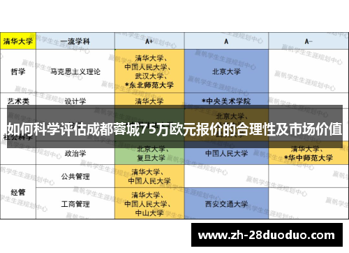 如何科学评估成都蓉城75万欧元报价的合理性及市场价值