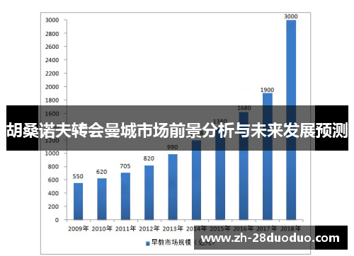 胡桑诺夫转会曼城市场前景分析与未来发展预测